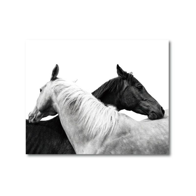 Black and White Horse Canvas Print