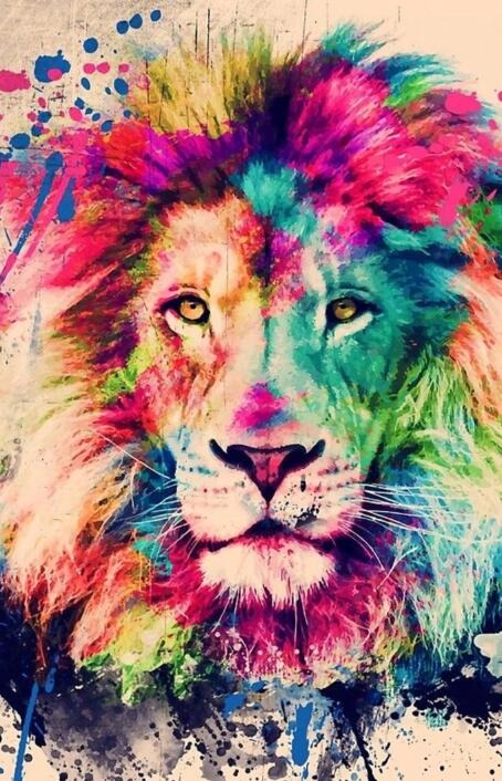 Colourful Lion Wall Art Canvas Print