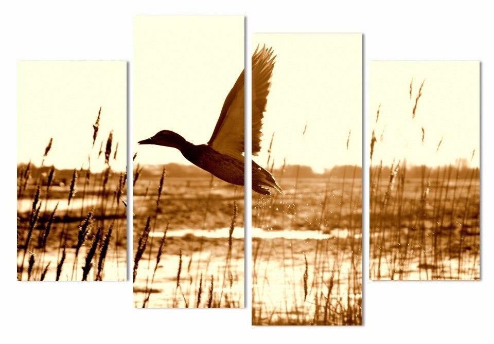 Four Panel Migratory Duck Canvas Print
