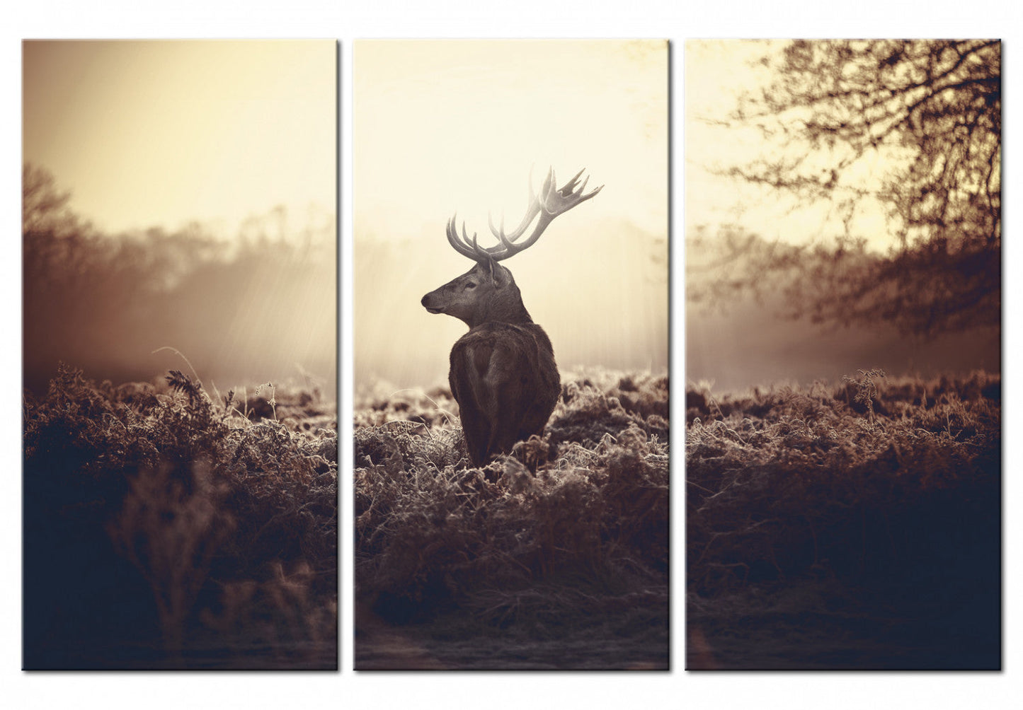 Stag - Set of 3