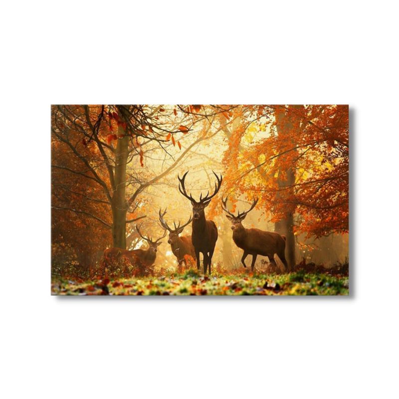 Autumn Stag canvas print