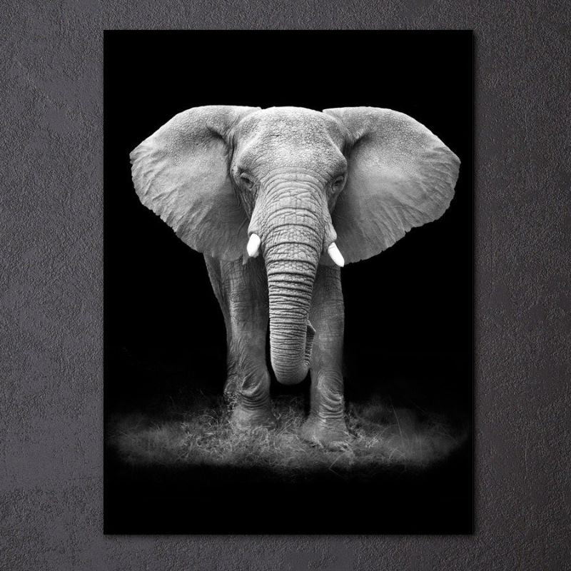 Black and White Elephant Canvas Print