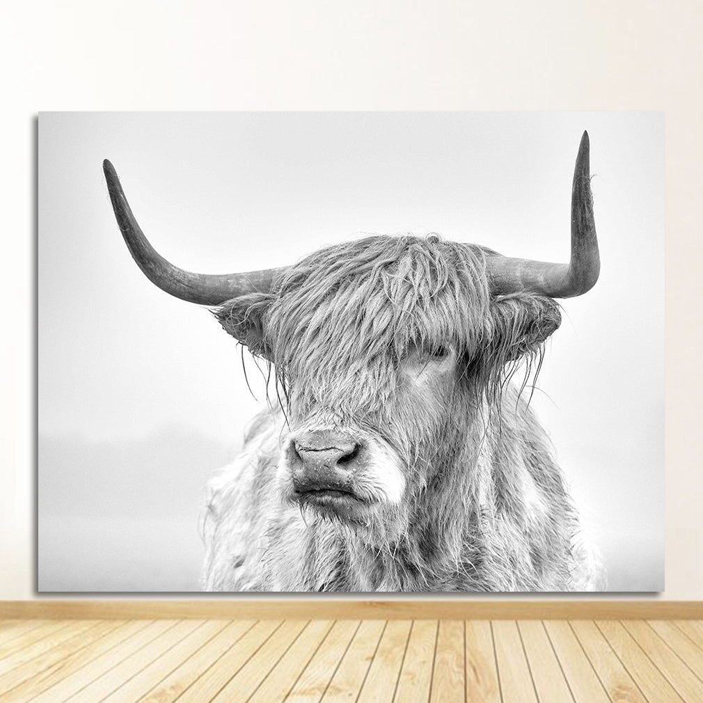 Black and White Highland Cow Wall Art Canvas Print