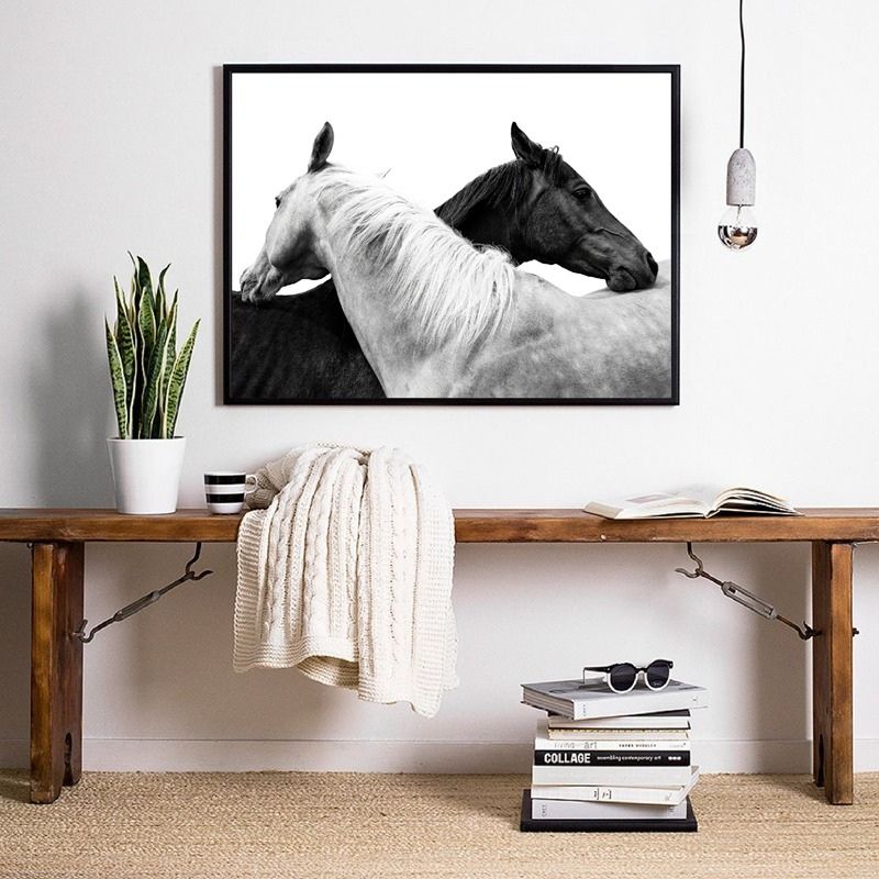 Black and White Horse Canvas Print