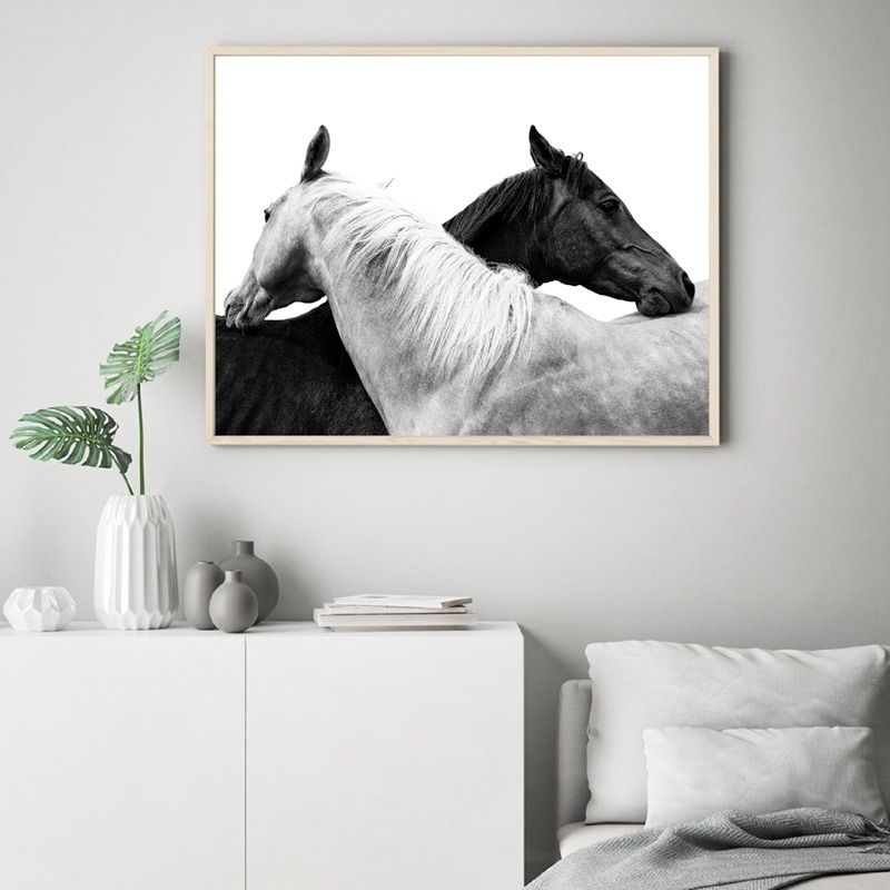 Black and White Horse Canvas Print