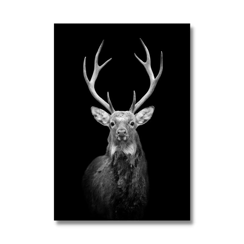 Black and White Stag Canvas Print