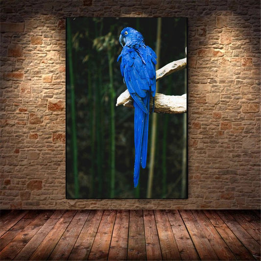Blue Parrot Canvas print