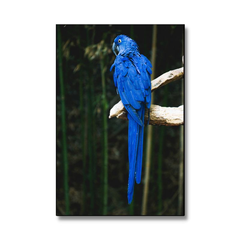 Blue Parrot Canvas print