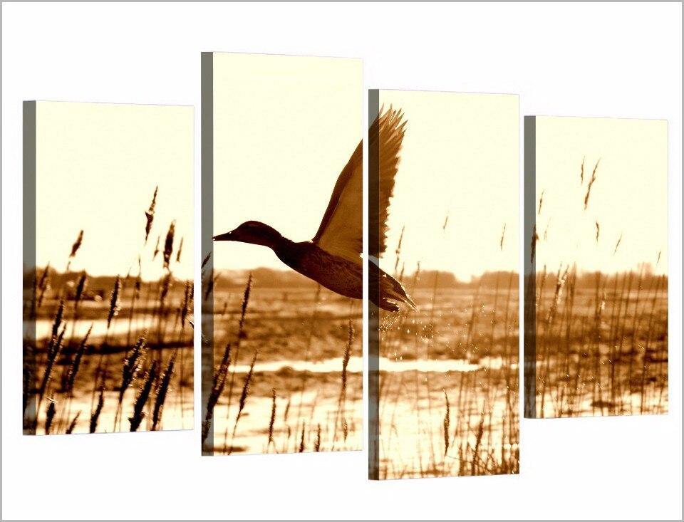 Four Panel Migratory Duck Canvas Print