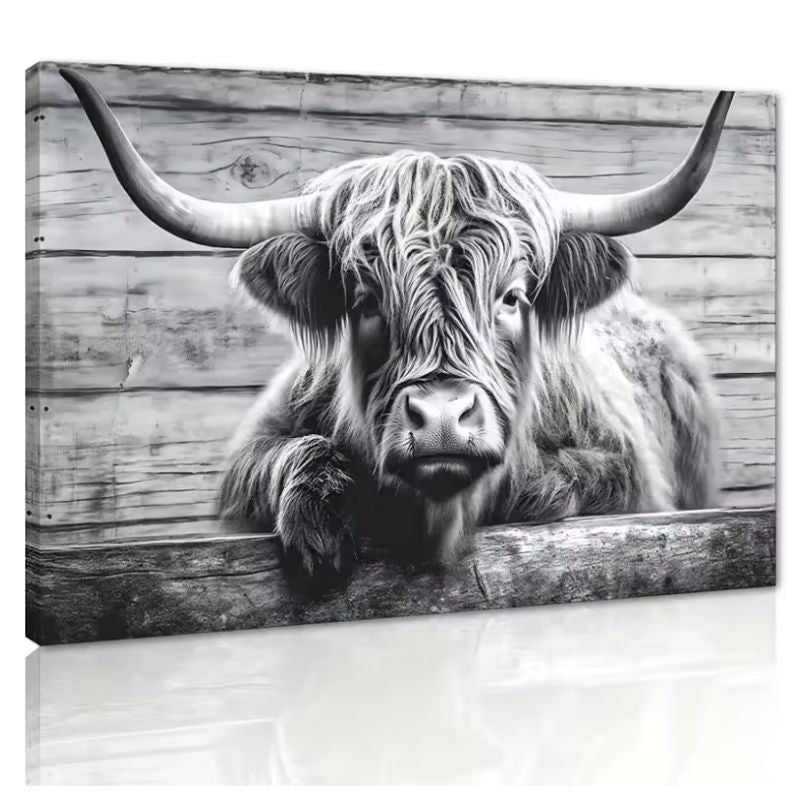 Highland Cow Watching you black and white Canvas Print