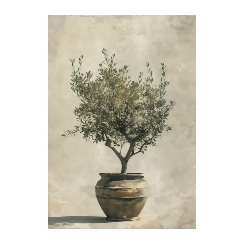 Mediterranean Olive Tree and Vase Canvas Print