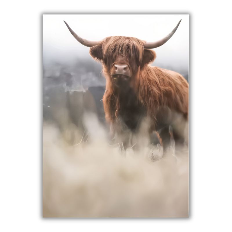 Scottish Highland Cow Wall Art Canvas Print