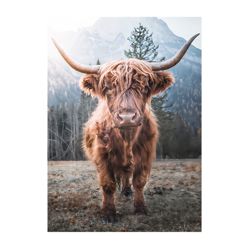 Silent Strength Highland Cow Canvas print