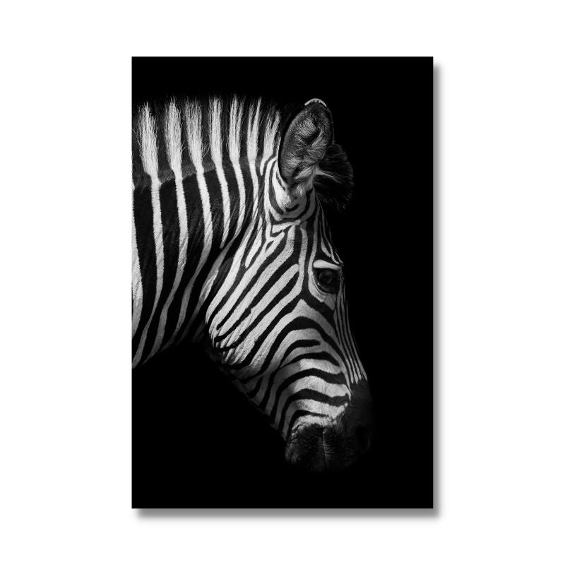 Black and White Zebra Wall Art Canvas Print