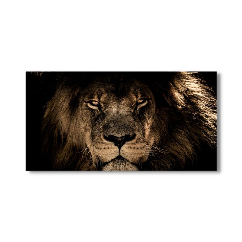 XXL Lion Wall Art Canvas Print